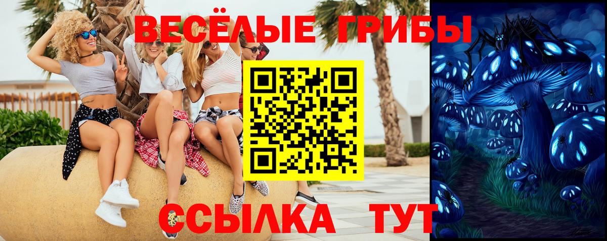 Галлюциногенные грибы Psilocybine cubensis  Галлюциногенные грибы MAGIC MUSHROOMS  Вход с VPN  Новотроицк 